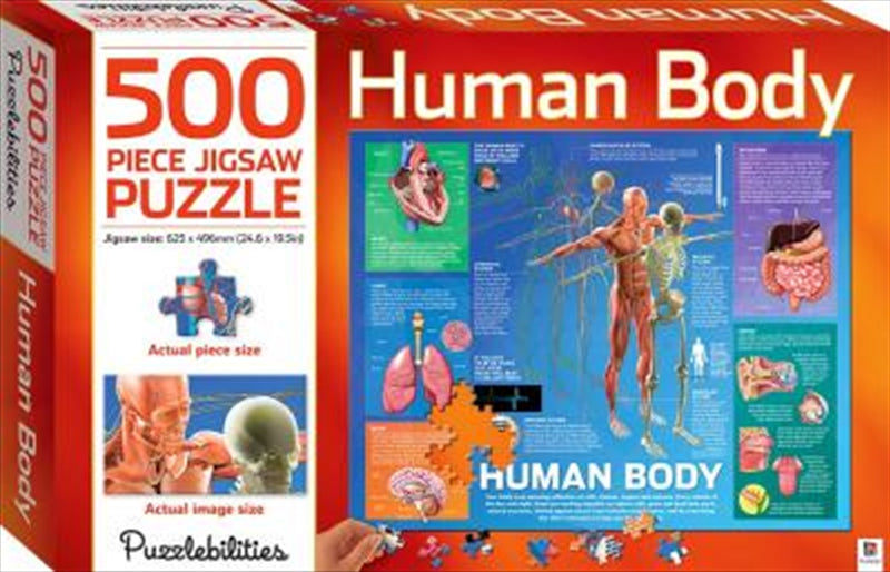 human-body-500-piece-jigsaw-puzzle