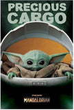 star-wars-the-mandalorian-precious-cargo