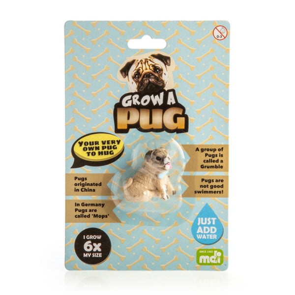 Grow A Pug – RUGSCOLLECTION