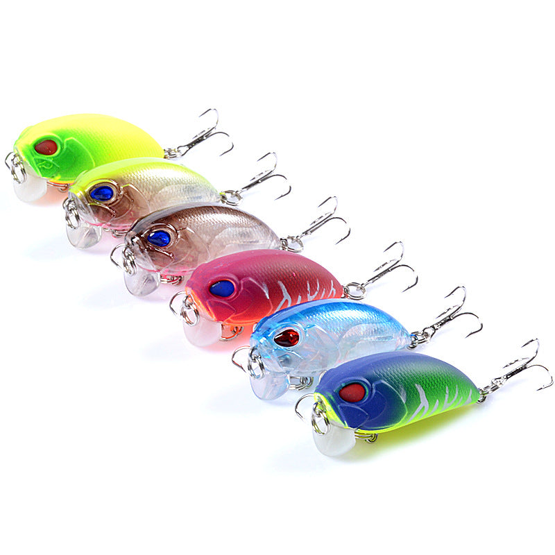 6x-popper-crank-5-1cm-fishing-lure-lures-surface-tackle-fresh-saltwater