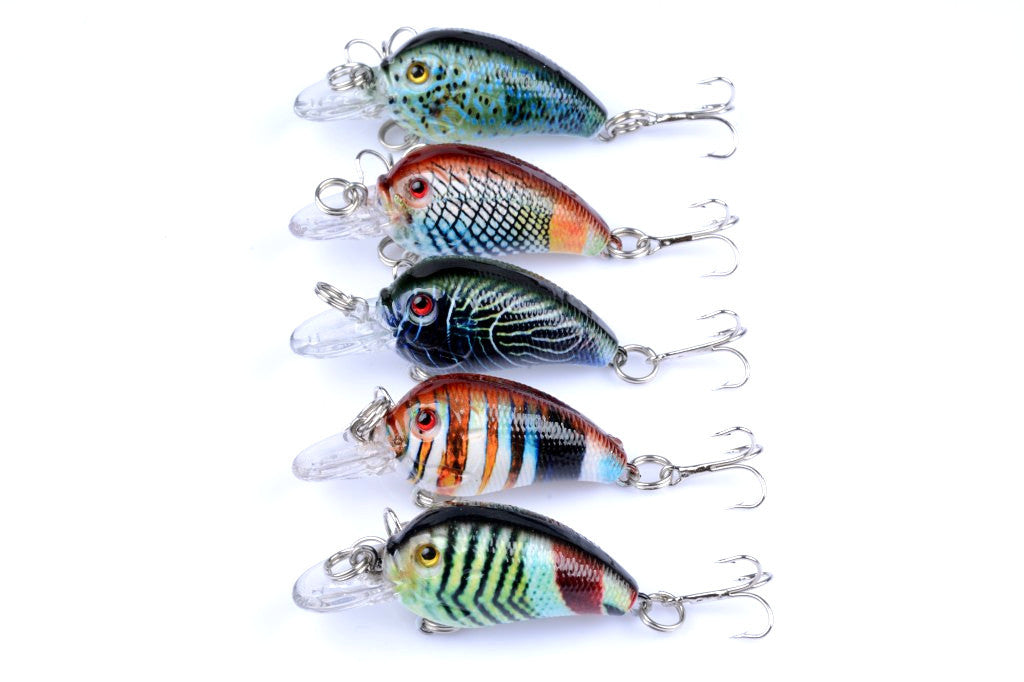 Click Bait Rugs 5x 4.5cm Popper Crank Bait Fishing Lure Lures Surface Tackle Saltwater ...