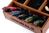 5x-8cm-popper-poppers-fishing-lure-lures-surface-tackle-fresh-saltwater