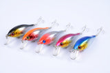 5x-7-5cm-popper-crank-bait-fishing-lure-lures-surface-tackle-saltwater