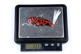 4x-5-5cm-vib-bait-fishing-lure-lures-hook-tackle-saltwater